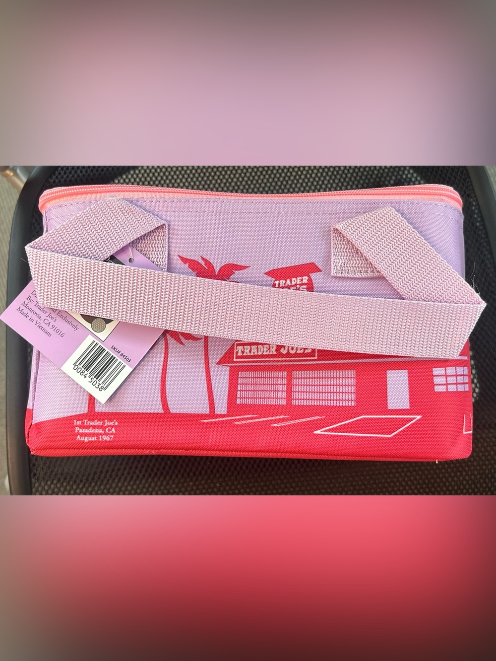 Trader Joe's Mini Insulated Lunch Bag